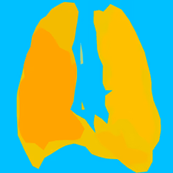 Abstract Orange Lungs