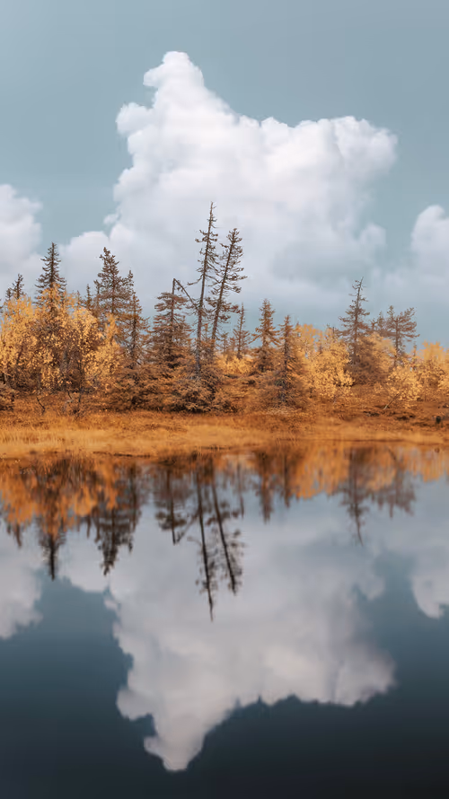 Item #134489906944514601836567189437532879130233761745768622289177289896503541761 Media