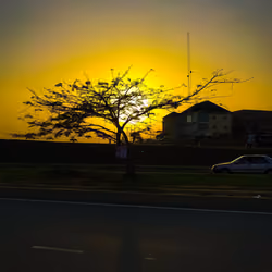 Golden hour 