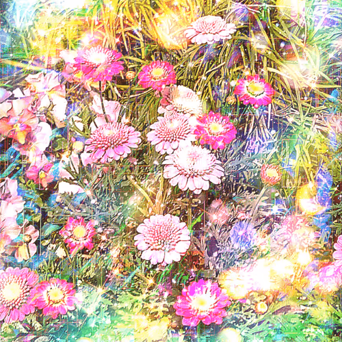 gallarygai Collection