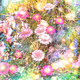 gallarygai Collection