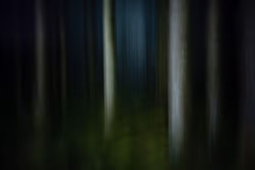 Item #72639390708267126639436568569652760193401123475841185469851730332420073848833 Media