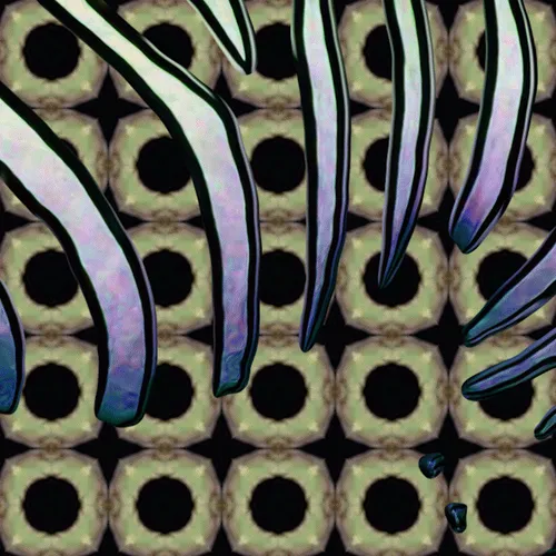Item #51085132585311678213666365158369168685884962440625854427983409384198431047681 Media