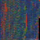 3929957607259287737366346110565606196895310268807897496533201298235246772225