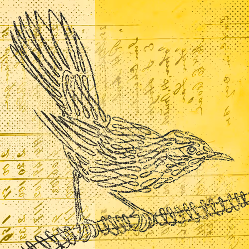 Item #12520096913277121545232673772747947087596815365110293900319642932584789311489 Media