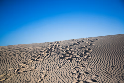 Item #114356424979646912091291396938675079969318378250921425408739931231938106359809 Media