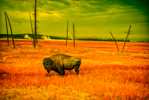 Item #62770830547104152708254418170425720867314851390025237510786564814769554980865 Media