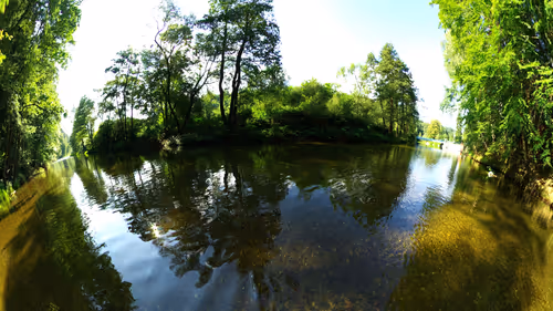 Item #114822171081428892344655605416315169478728978475993562715248380002269313106020 Media