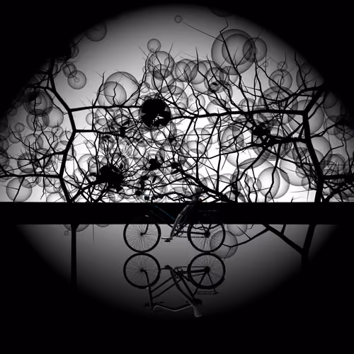 Darkness of "Insouciance" 