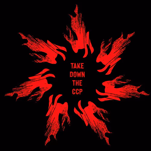 take_down_the_ccp Collection