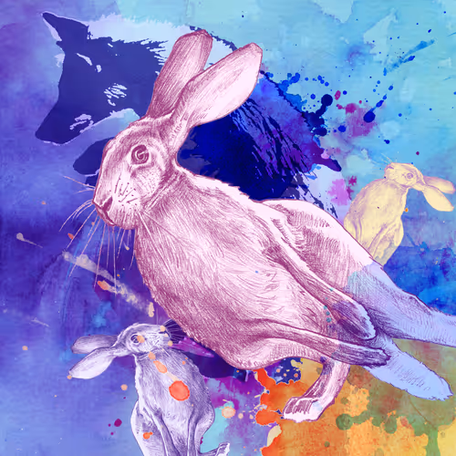 Item #5629565881579368983166495237263344266879989081391391318443702107079773782017 Media