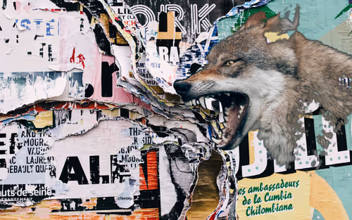 Item #68956660455802920949406474332140117379218782181167192068464389515815885471745 Media