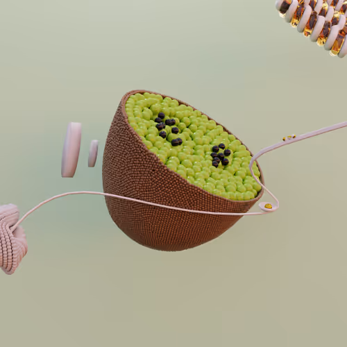 Item #52340185593795268693216480024385572018265039385291647297478075469173746565121 Media