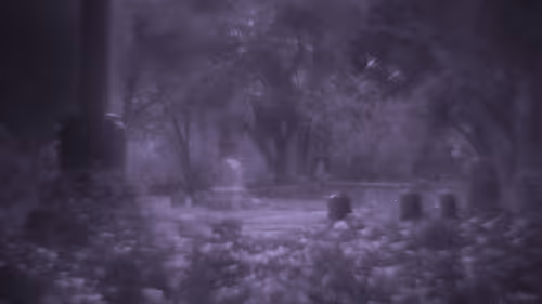 Item #103537636428956788553245855199027552722548685417663804032293973217353599549441 Media