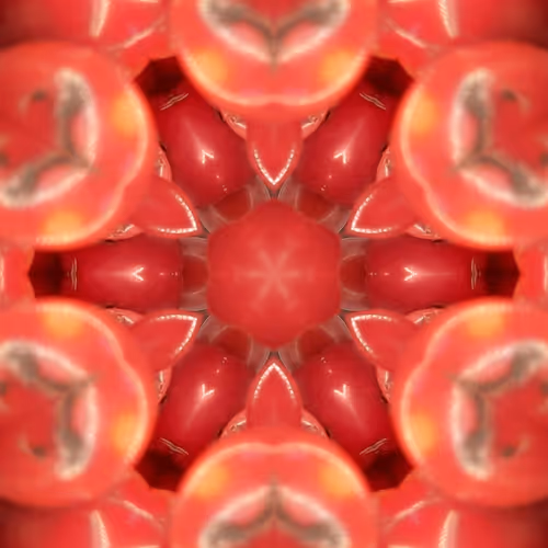 Untitled Collection #84001882