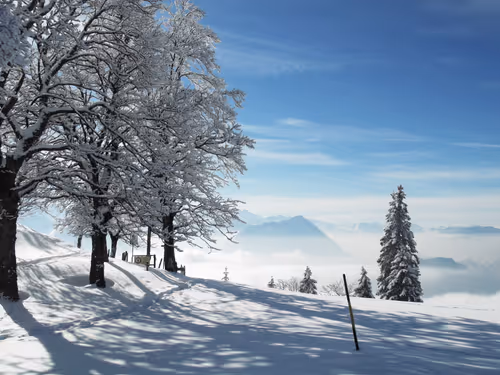 Item #57616968774937305667495645743759075996351860147408322149889343966768594419713 Media