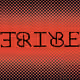 17544424985333783964971416952616040629776396988910030141247165511466691330412