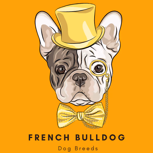 Item #102435799496306094734793923269386745647945406749022464082574321232305144725505 Media