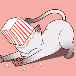Popcorn Cat