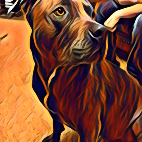 Painted Pit