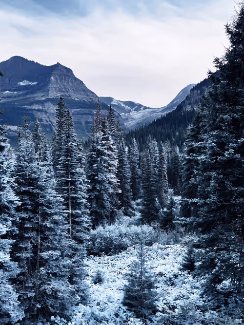 Item #62001089897654043678582796294711651900724303774679820814799839849965900791809 Media