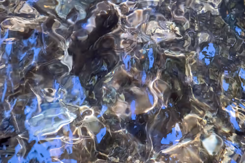 Item #81441334517361708208394031135700195474624799851237506988747107975493318606849 Media