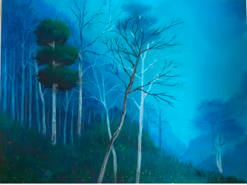 Item #86004839139829834152036504265886601377561545229615145773598972450479131328513 Media