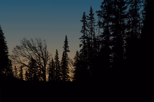 Item #48675370962162840952767984262356909171575887892164890541832012911037449764865 Media