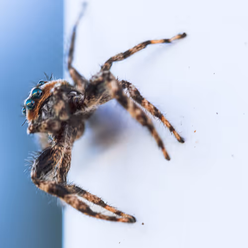 105090597216655980557633683149084672751347825439893935605656298051806190108673