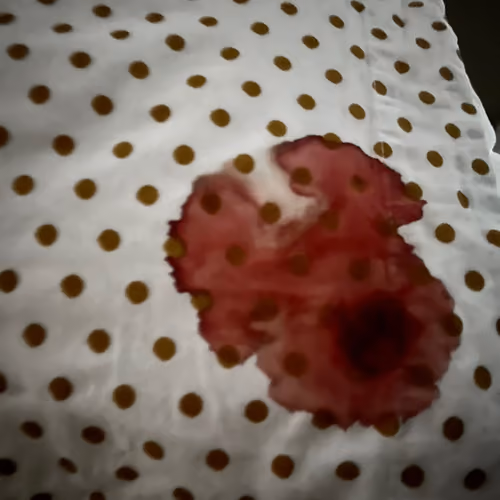 Bloody Mouse