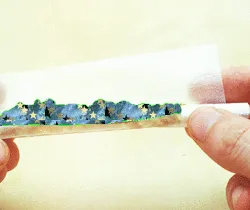 25341286264500723035621473236106555894325910133190681856438129040997390221313