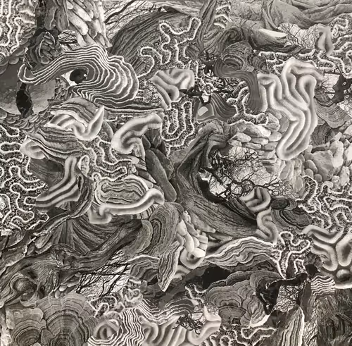 Item #87414030977242404074607737176554997230308659051601397280758356093860703109121 Media