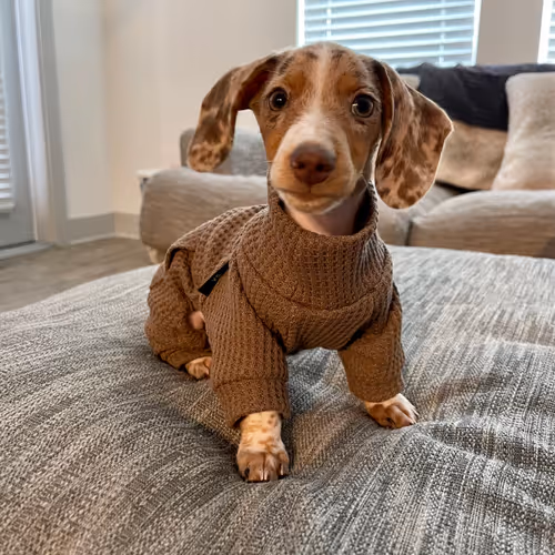 Item #3898553481777928447875654508319745577702835649877580186705307900203122032645 Media