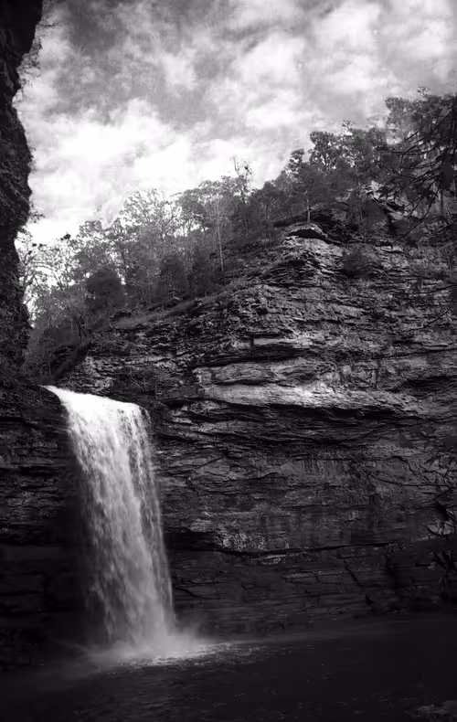 Item #115476091633177707548467332861513074222465969616000108697223131105706941349889 Media