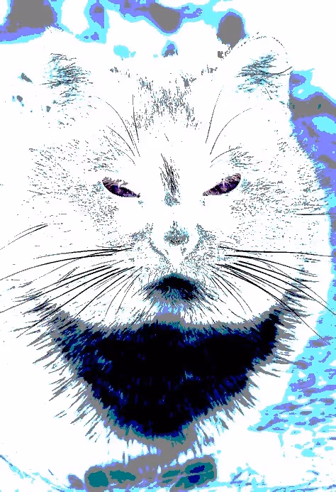 Item #23538819986925566434507765811444276093104658907602947149672917256946021564417 Media