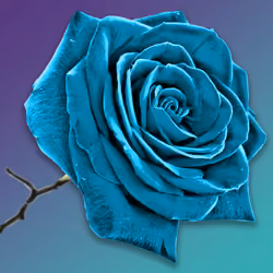 Feeling Blue