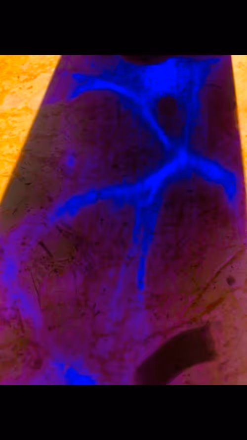 Item #108775214433073679785252007198929589715547369745780425038060764554912180731905 Media