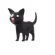 84928168743034450800443292708212121373854664473300260992617954556323695689729