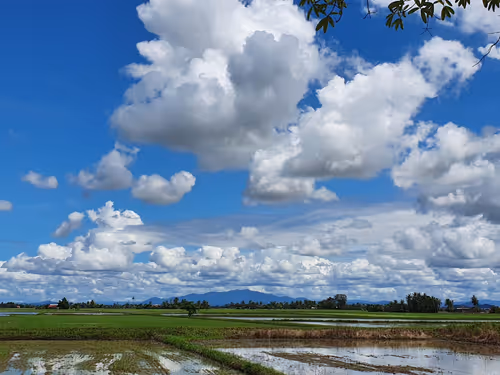 Item #45312671864033883435652767615020365995239278465702072772170088407726091665409 Media