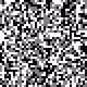 11562328145357496144768407574229915386981649508359982049031171177386975690753