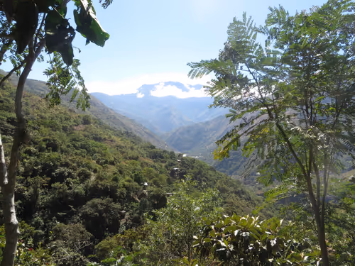 Item #113915635363529418532820506639039462677143782385450590851576059214221046448129 Media