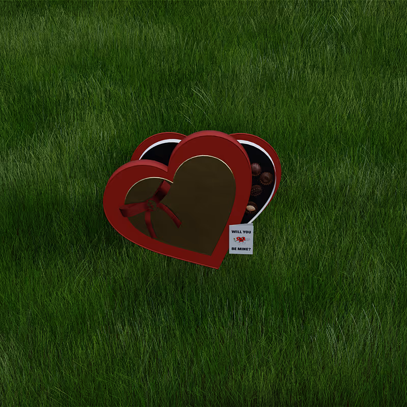 Heart Shaped Chocolate Box