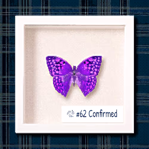 Item #2789607291071995738164880481125140258345785270878309300203345402407493304321 Media