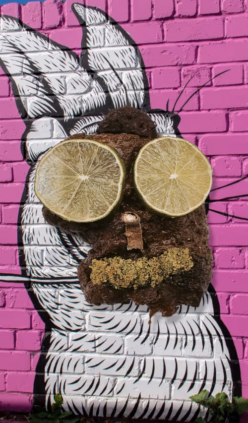 Item #100909502448086356706660368779487088653809768188601857193380372692192490160129 Media