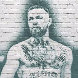 Wall art #16 Conor McGregor