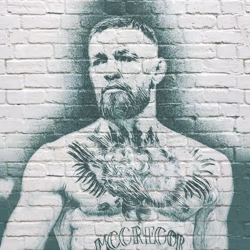 Wall art #16 Conor McGregor