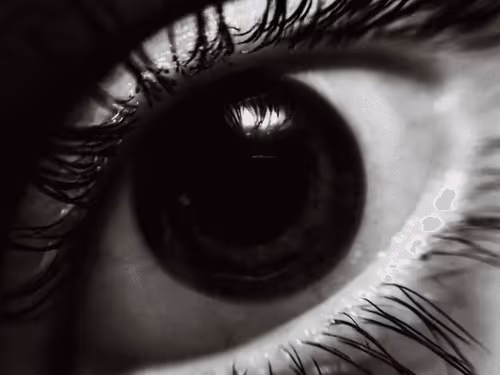 OksanaBulgakova Collection