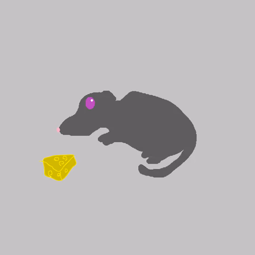 Ratku #15
