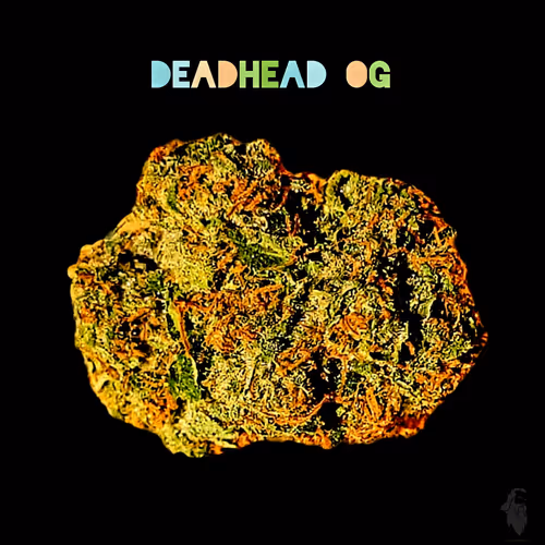 Item #87689570283297516471900235800511228078692535605346005540316604147721335472129 Media