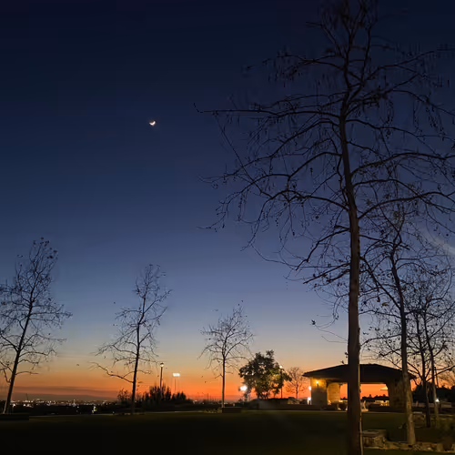 eastwestgg Collection